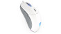 ENDORFY GEM Plus Onyx White myš Pro praváky USB typu C Optický 19000 DPI