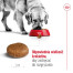 ROYAL CANIN Maxi Adult 5+ - suché krmivo pro psy - 15 kg č.5