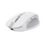 Trust Ozaa myš Pro praváky RF bezdrátové + Bluetooth Optický 3200 DPI