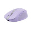 Trust Ozaa myš Pro praváky RF bezdrátové + Bluetooth Optický 3200 DPI