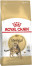 ROYAL CANIN FBN Bengal Adult - suché krmivo pro kočky - 10kg