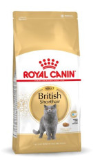 Royal Canin British Shorthair Adult suché krmivo pro kočky 4 kg Dospělý jedinec č.1