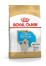 ROYAL CANIN Golden Retriever Puppy - suché krmivo pro psy - 12 kg